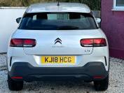 CITROEN C4 CACTUS 2018 (18)