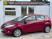 FORD FIESTA 2010 (60)